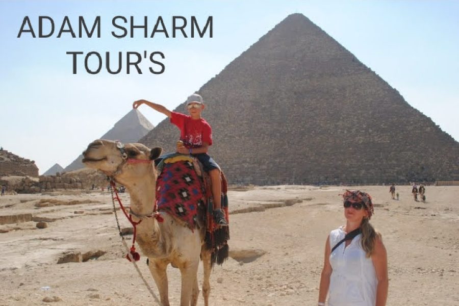 Cairo by Bus  And Air