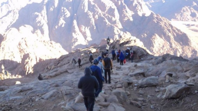 St. Catherine + Moses Mount