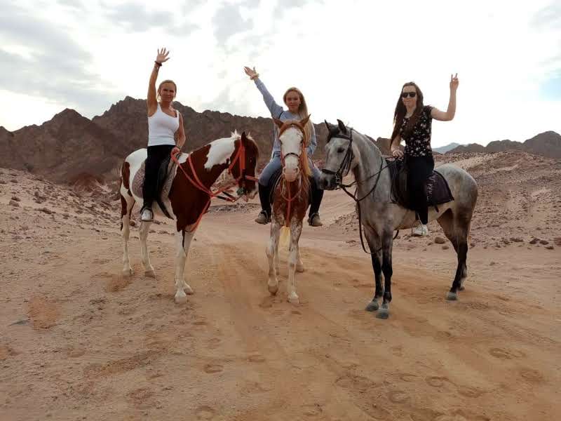 Horse Riding And Swiming Withe Tha Hourse