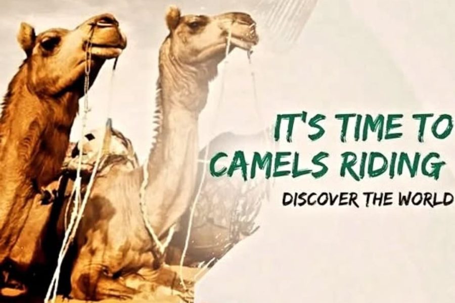 Camel Riding